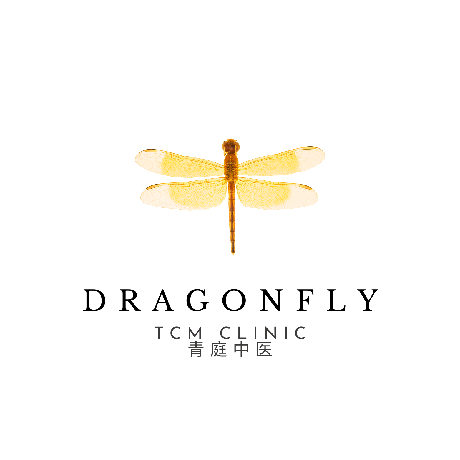 Dragonfly Acupuncture & Chinese Medicine